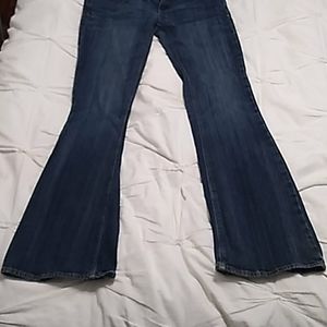 AE Artist Blue Jeans